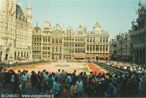 Bruxelles, grand place fiorita