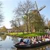 keukenhof OLANDA 