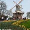 giardini Kekenhof OLANDA 