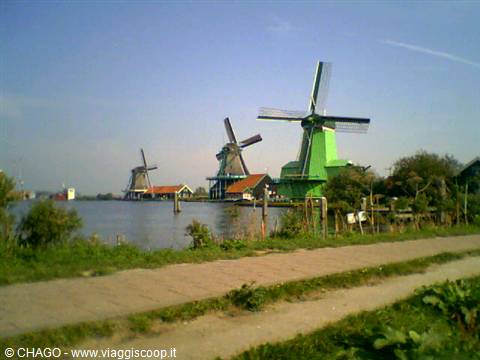 favoloso Zaanse Shans