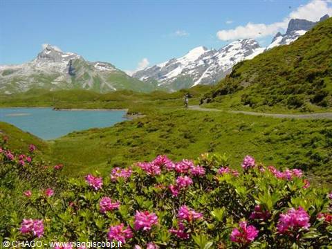 lago Melchsee