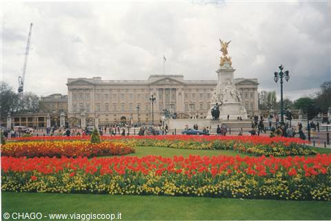Buckingam Palace