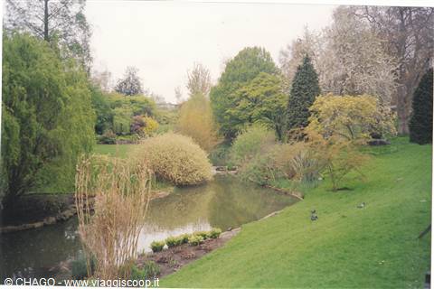 i meravigliosi giardini all' inglese