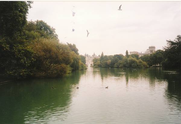 laghetto di Hyde Park