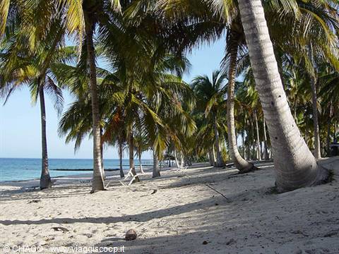 playa La Gorda