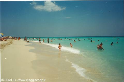 playa del Este