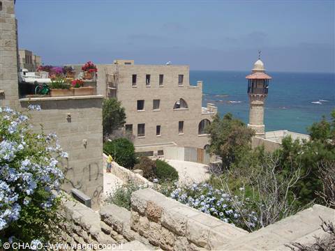 Jaffa, minareto sul mare