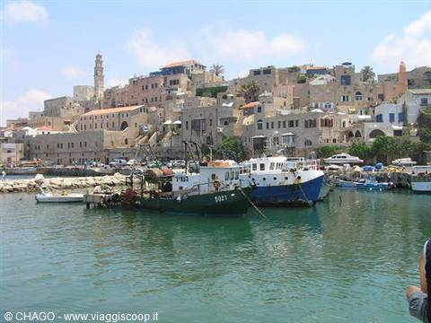 porticciolo di Jaffa