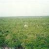 sito archeologico di Cobà MESSICO 