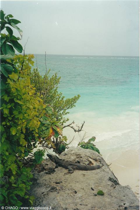 il guardiano di Tulum