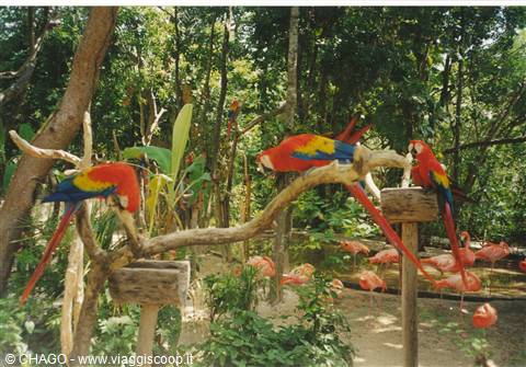 parco di Xcaret