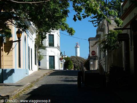 calle Leafy
