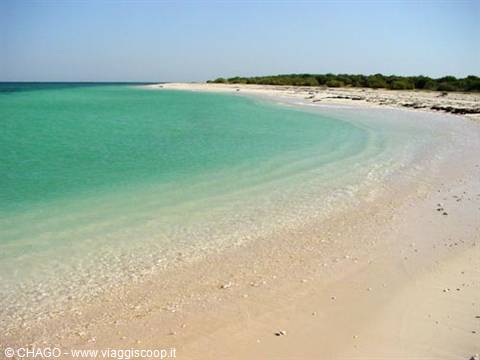 Dahlak, spiaggia
