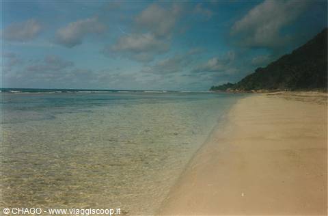 anse Grand Roche