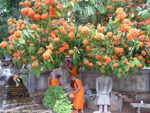 monaci buddisti