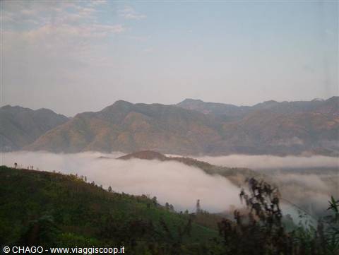 nebbia mattutina