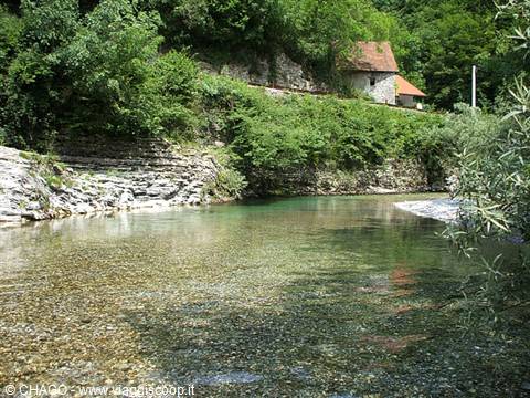 Tolmin