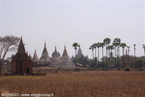Bagan