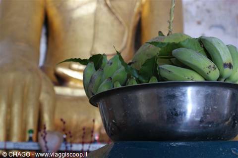 offerta al Buddha