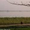 lago di Mandalay BIRMANIA 