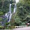 twin falls BIRMANIA 