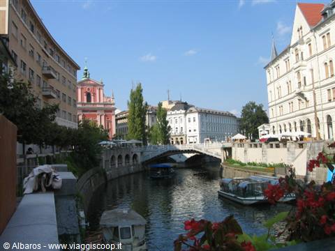 da un ponte in centro...