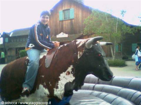 davy crockett ristoro
