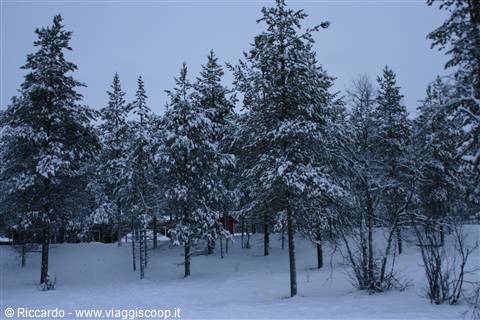 Saariselka - Villaggio di Kakslauttanen