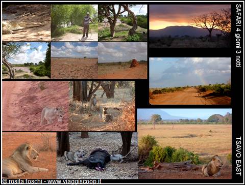TSAVO EAST con THOMAS MBOYA e RAFIKI SAFARIS UK