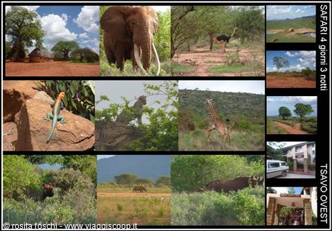 TSAVO OVEST con THOMAS MBOYA e AGENZIA RAFIKI SAFARIS UK a WATAMU