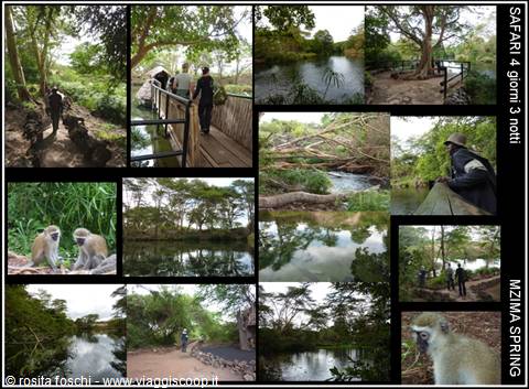 MZIMA SPRING con THOMAS MBOYA e AGENZIA RAFIKI SAFARIS UK a WATAMU