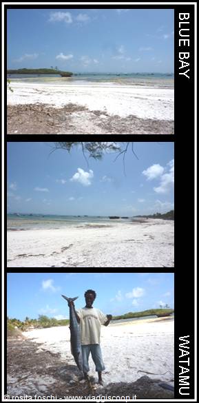 BLUE BAY a WATAMU