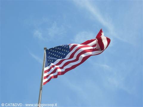 In God We Trust