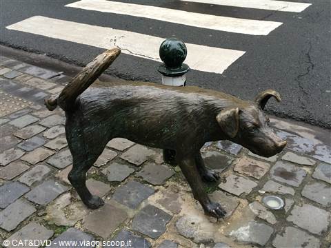 Chien qui pisse