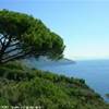  ITALIA 