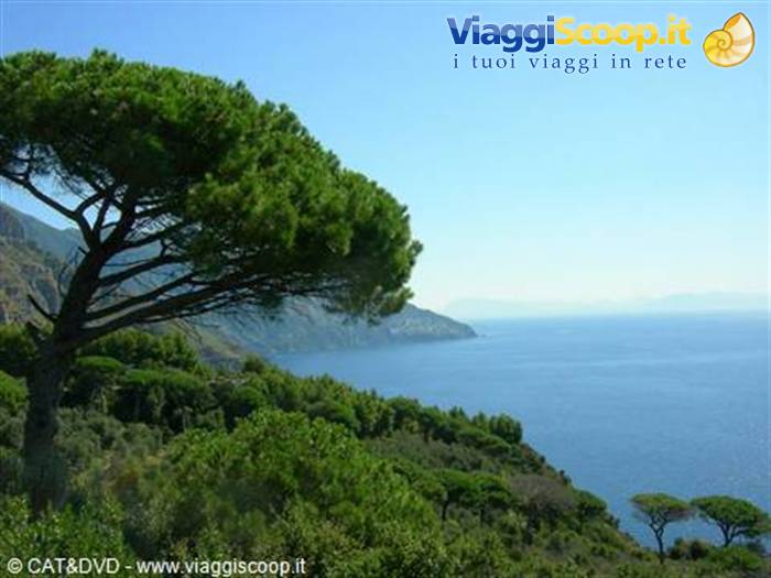 Foto di viaggio in ITALIA