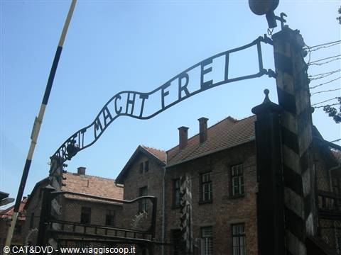 il lavoro rende liberi