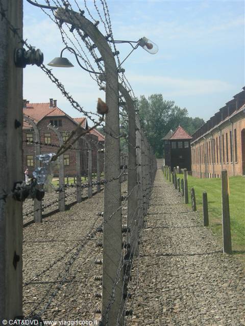 Auschwitz