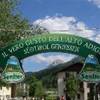 senfter (san candido) AUSTRIA 