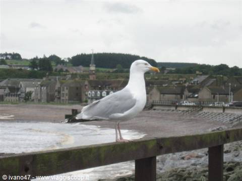 stonehaven