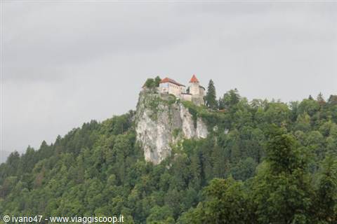 bled