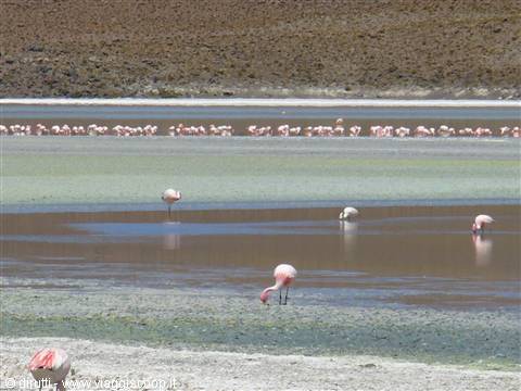Laguna Hedionda