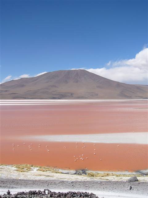 Laguna Colorada