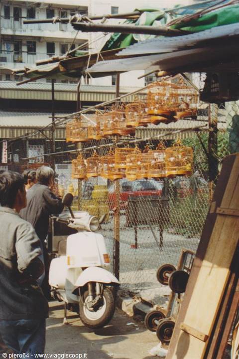 Mercato degli uccelli
