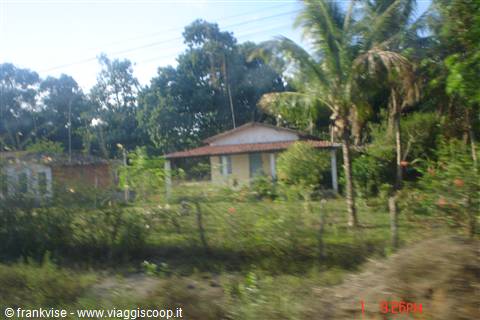 Dalle parti di Maragogipe ( dintorni di Bahia)