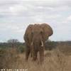foto viaggio KENYA