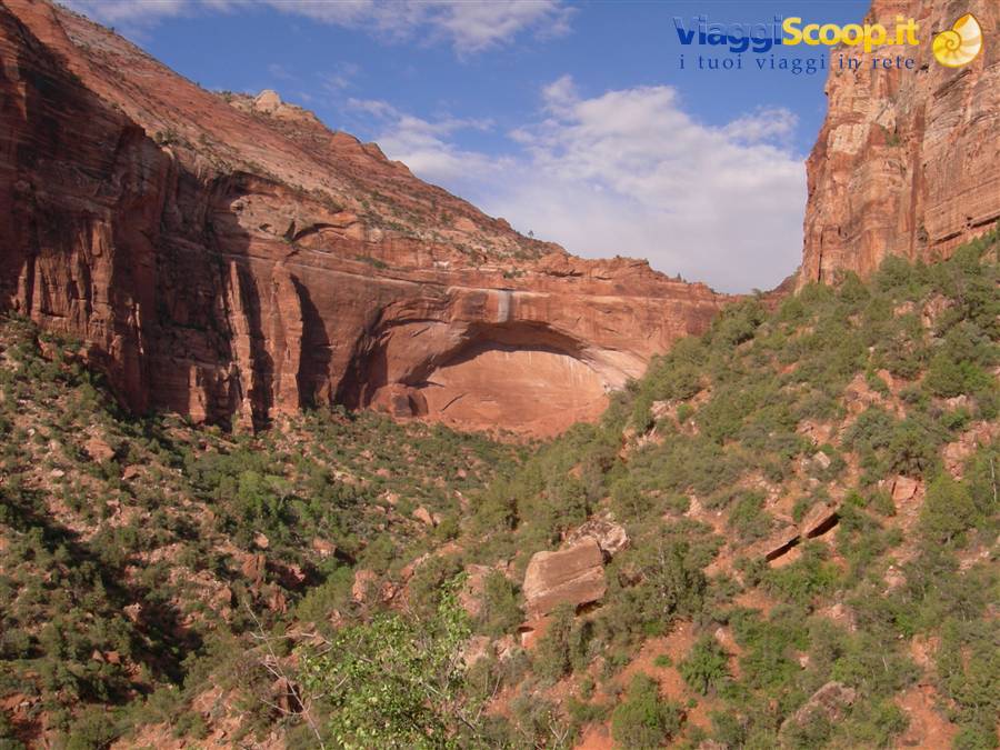 Zion N.P.