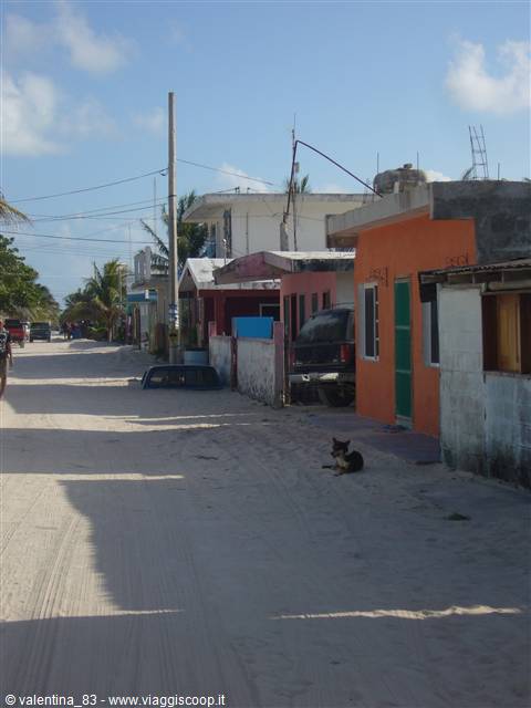 Punta Allen