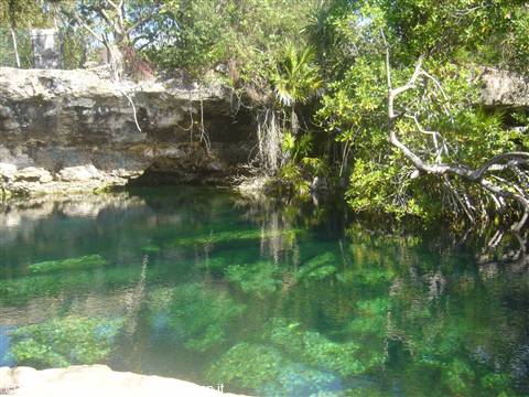 Cenote Cristalino
