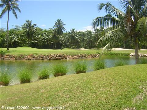 Golf Lemuria 3